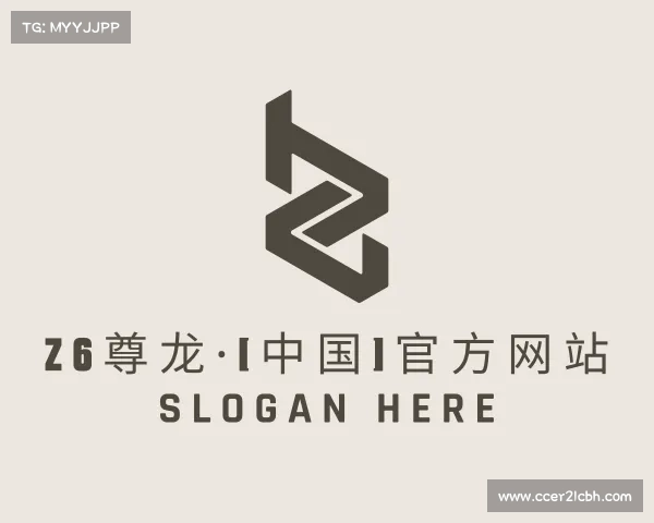 发现z6尊龙官方网站登录入口